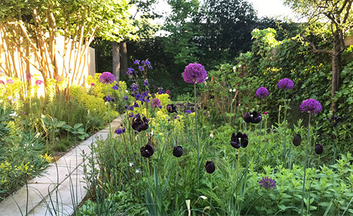 Private garden in bloom